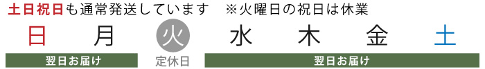 休業日案内