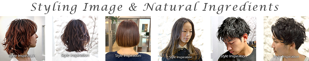 スタイリングイメージのリンク